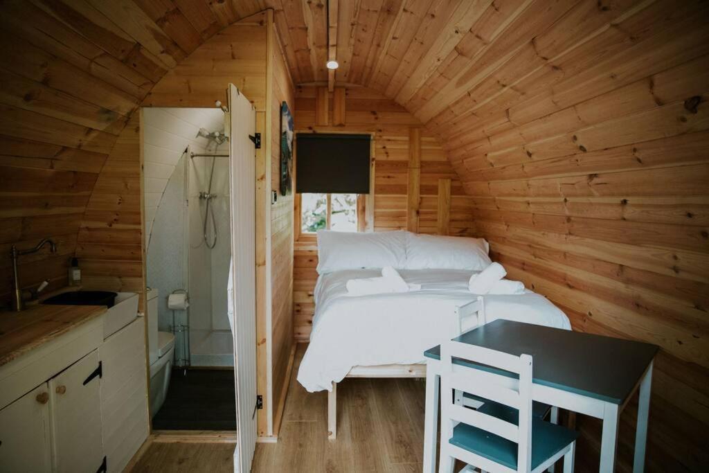 Ash Winter Retreat- Hot Tub & Log Bruner Barmouth Dış mekan fotoğraf